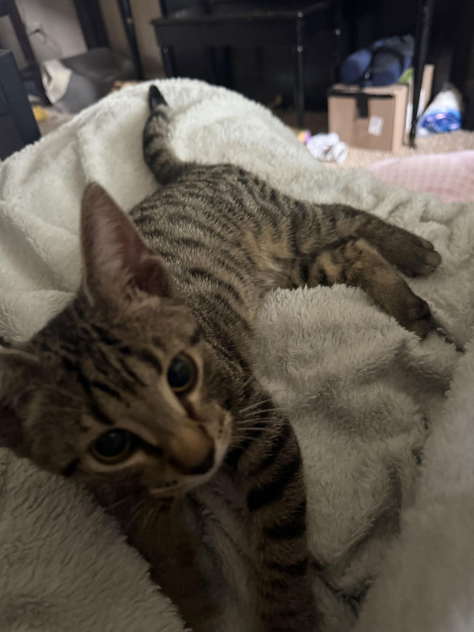 Ganymede thumbnail 2