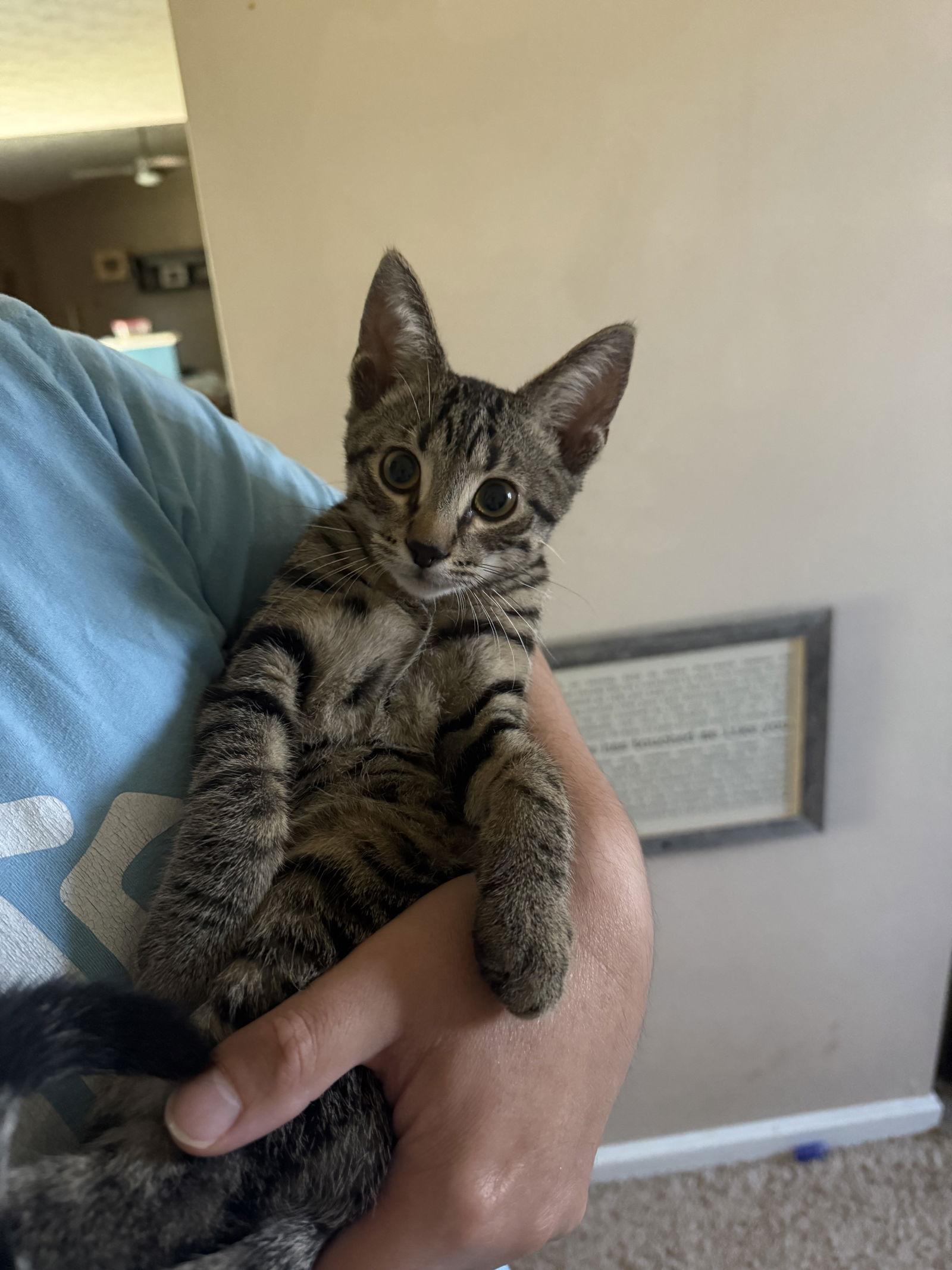 Ganymede thumbnail 4