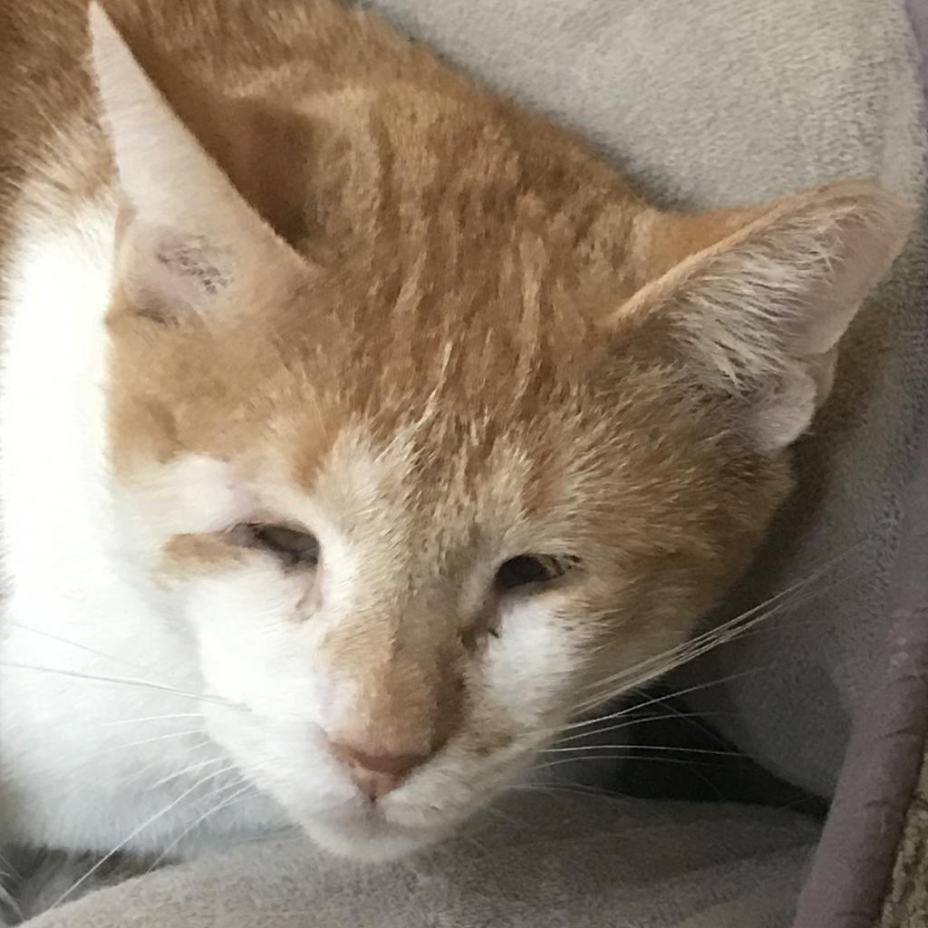 Sunny D — thumbnail 2