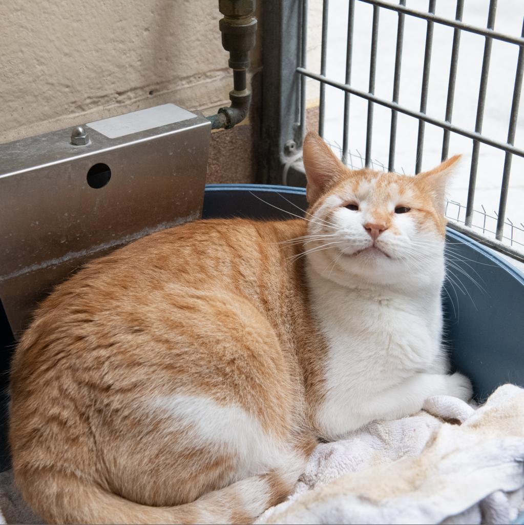 Sunny D — thumbnail 5