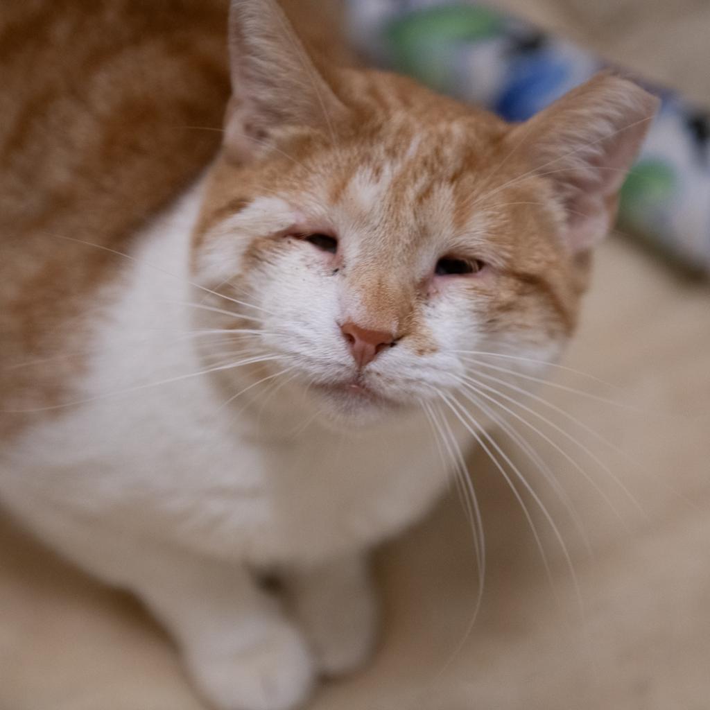 Sunny D — thumbnail 6