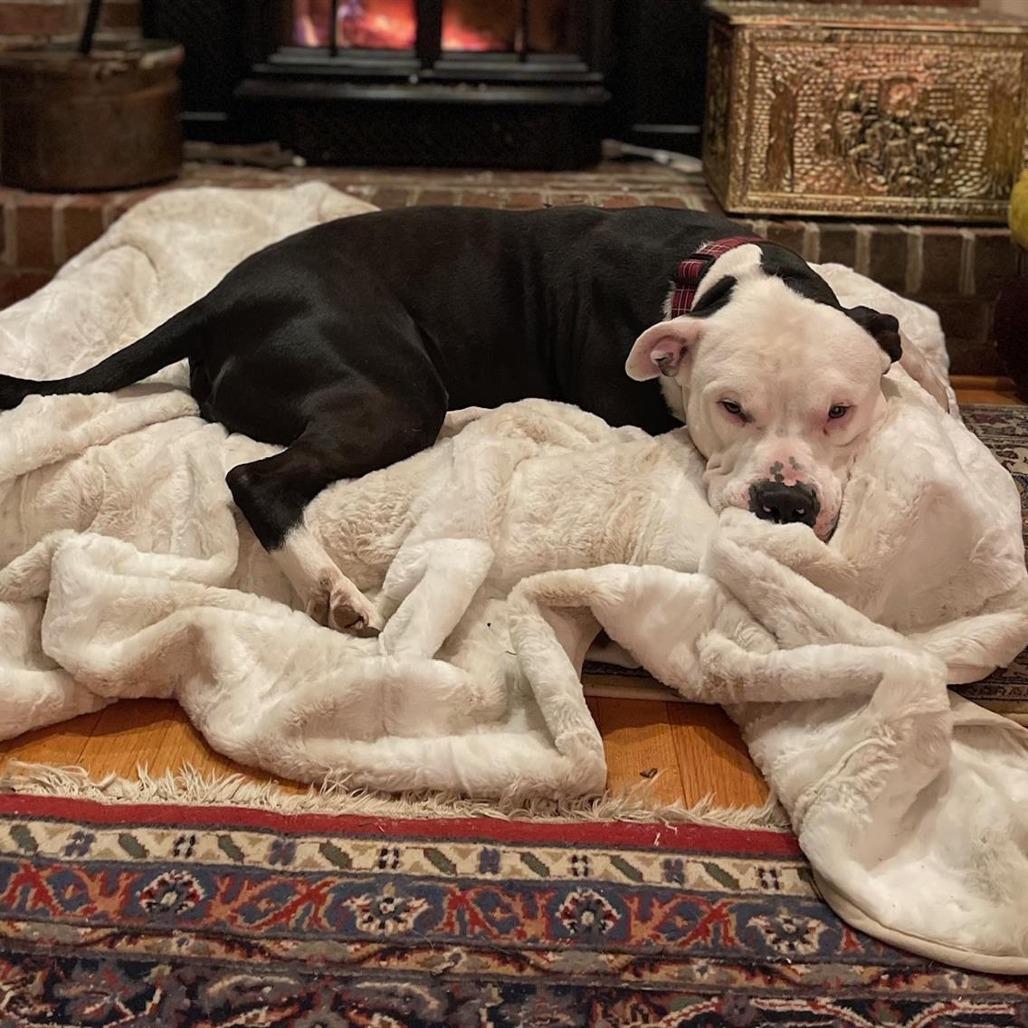 Ishmael — thumbnail 2