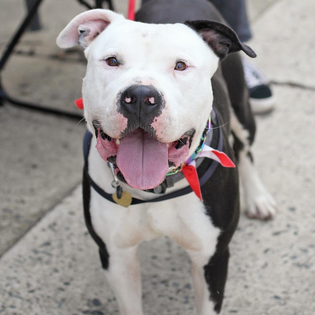 Ishmael — thumbnail 6