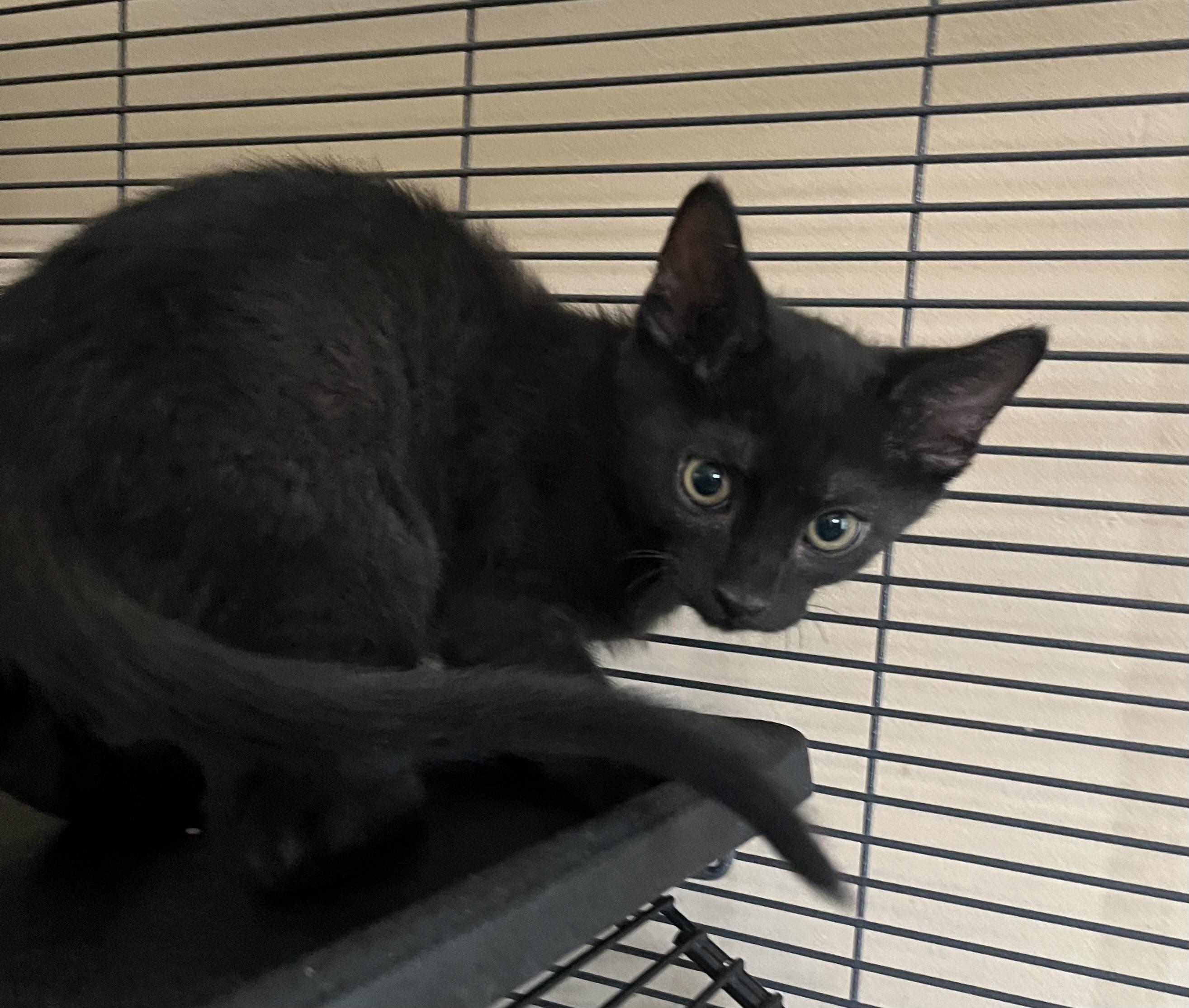 Thursday thumbnail 2