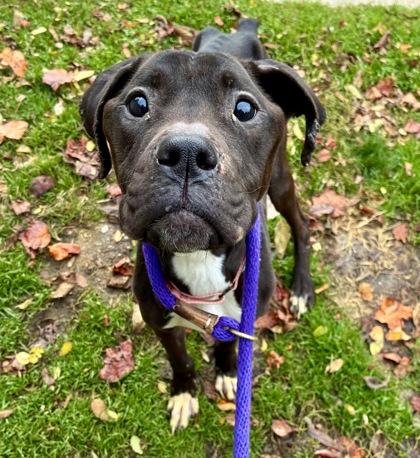 Tallahassee thumbnail 3