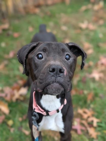 Tallahassee thumbnail 4