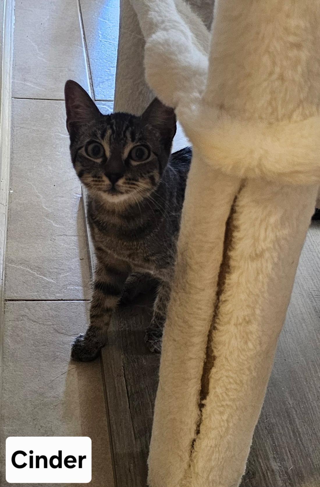 Cinder