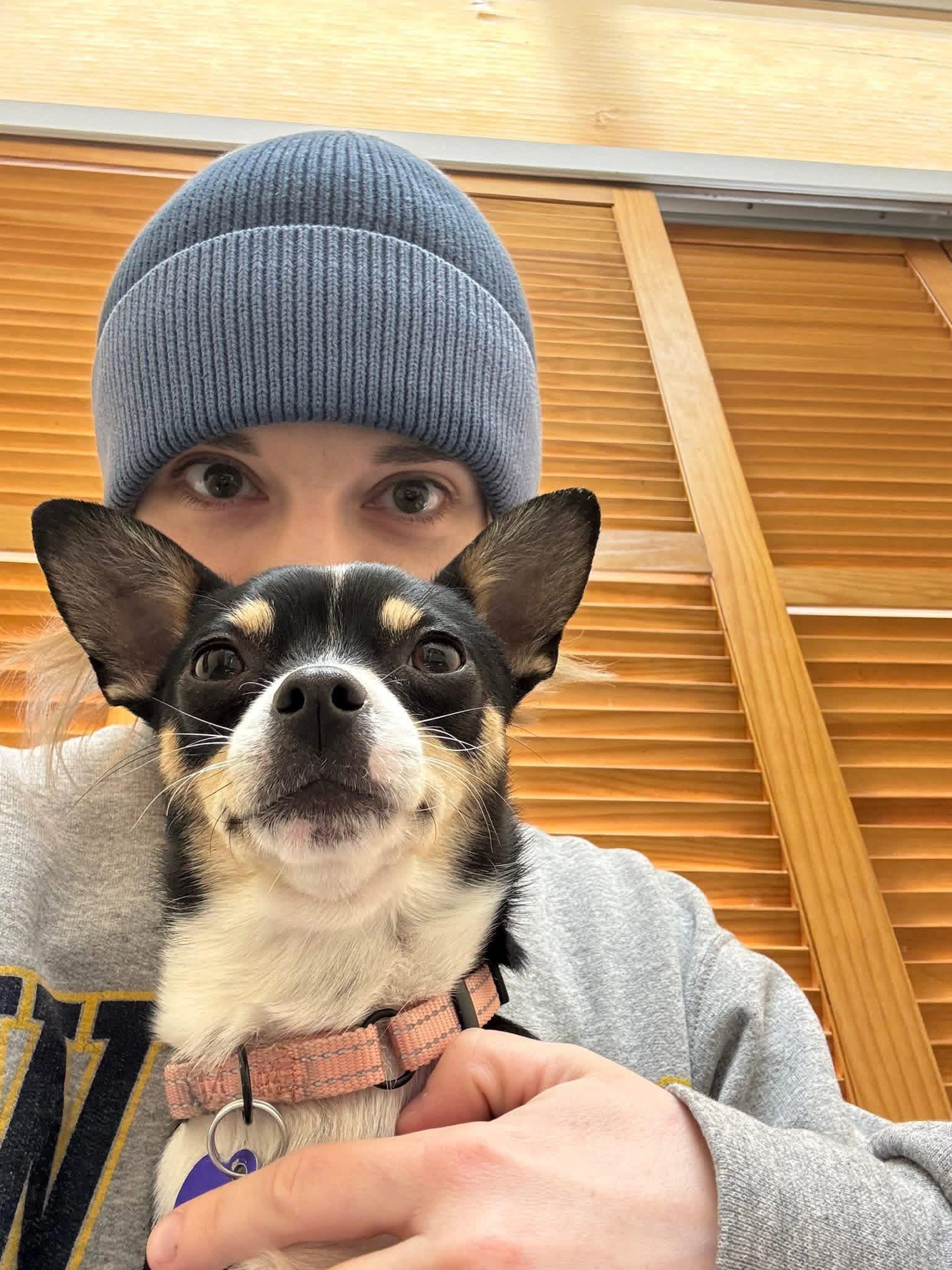 Enlarge Blossom, an adoptable mixed breed in Elkton, MD image 3/6