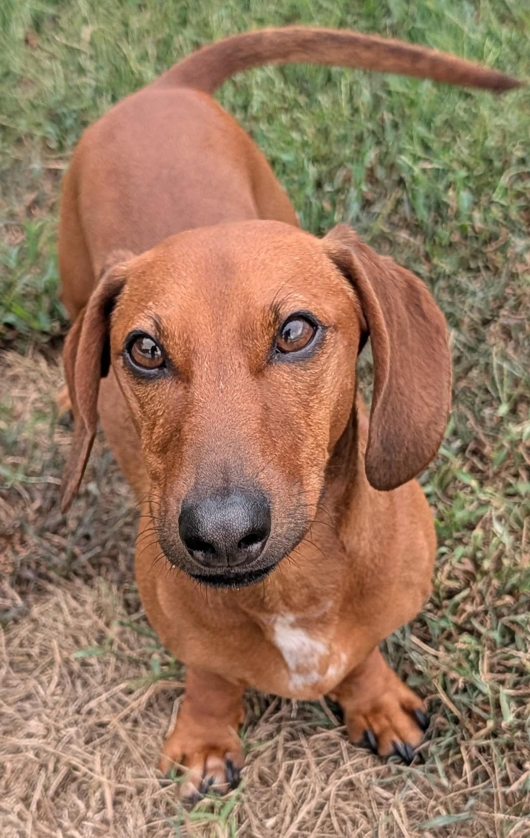 Winston in LA photo