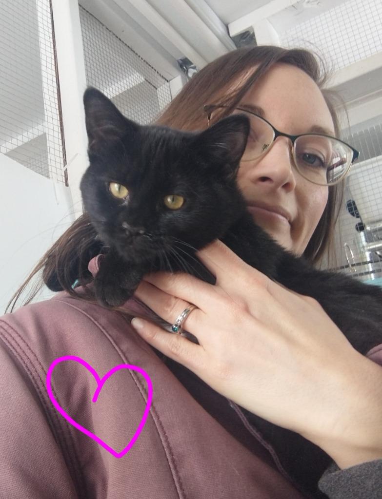 Enlarge Lucille, a Adoptable mixed breed in Saint James, MN image 2/5