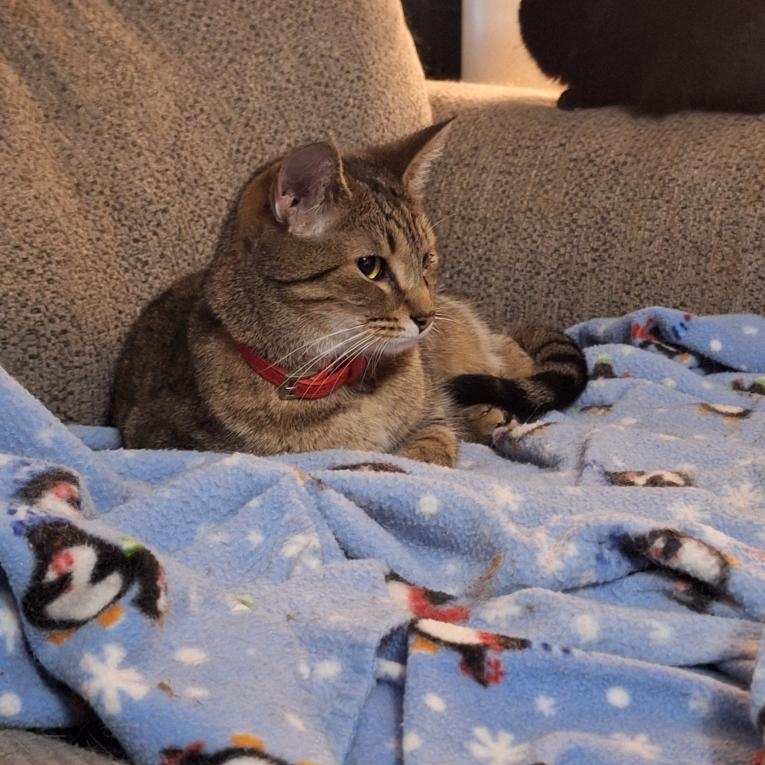 Sugar Baby — thumbnail 3