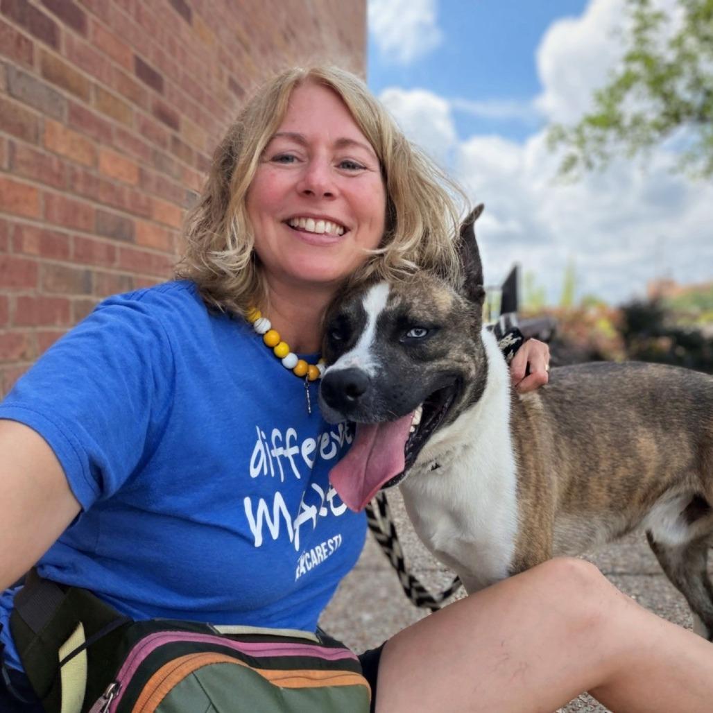 Enlarge Bob, a Adoptable mixed breed in St. Louis, MO image 5/6