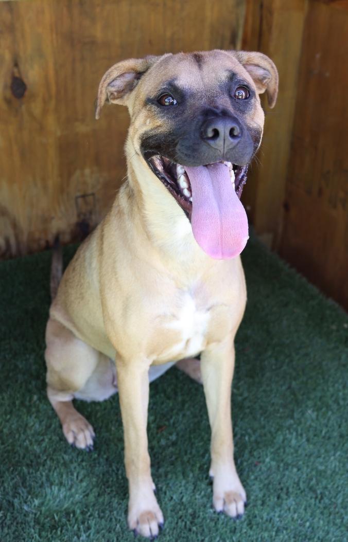 LENNOX photo 3