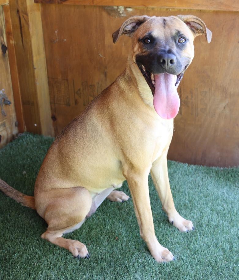 LENNOX photo 4
