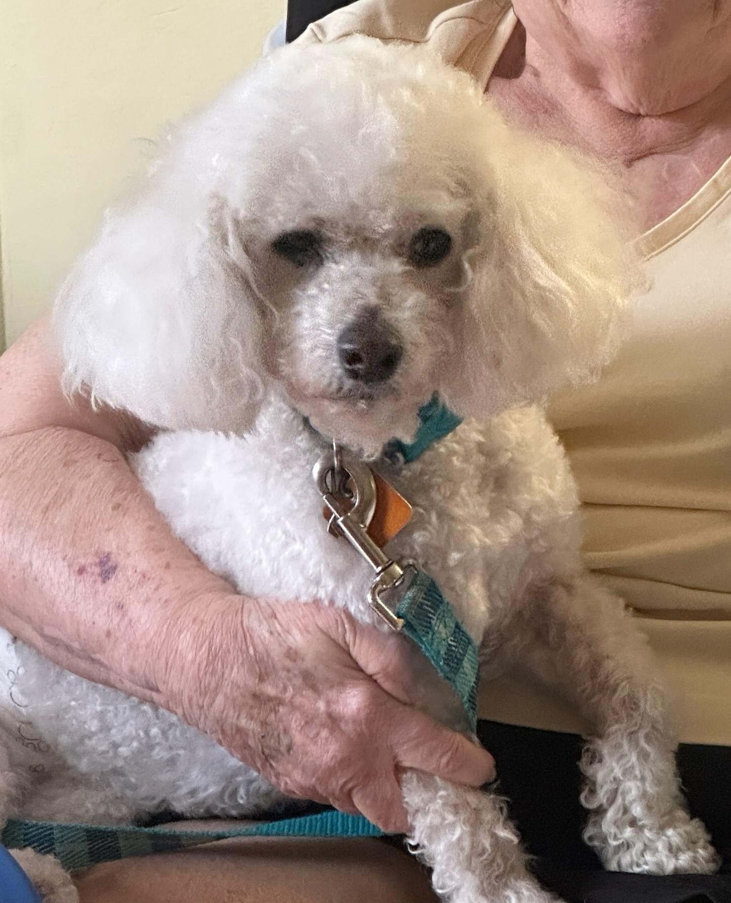 Roger, Senior Male unknown