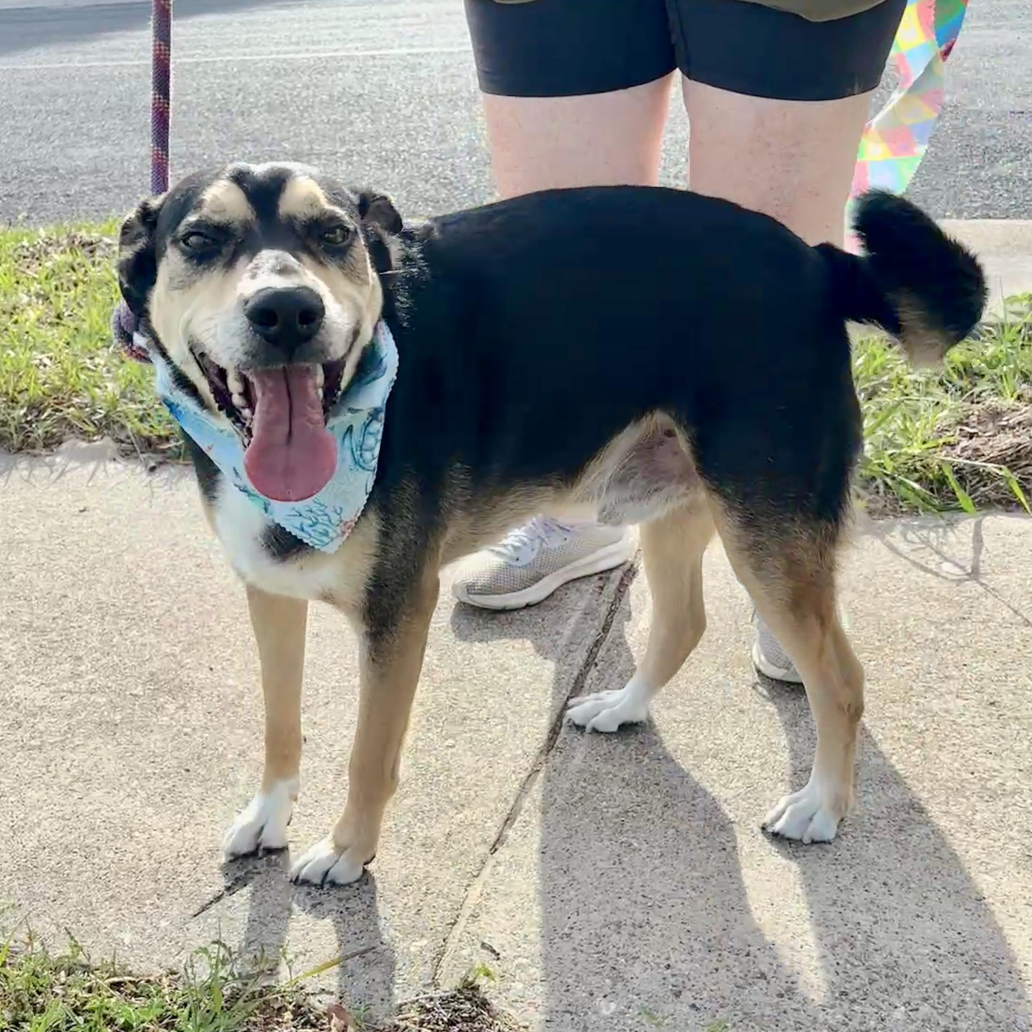 Buster Boo — thumbnail 2