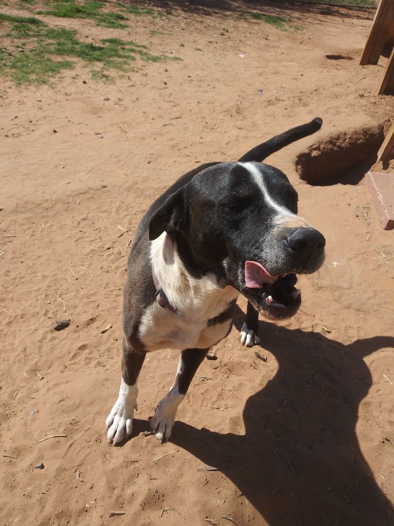 Tipper — thumbnail 2