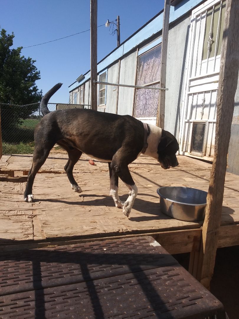 Tipper — thumbnail 3