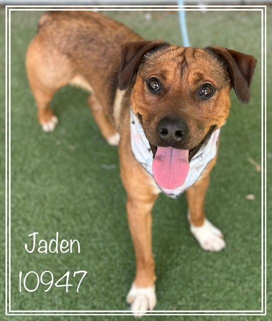 JADEN