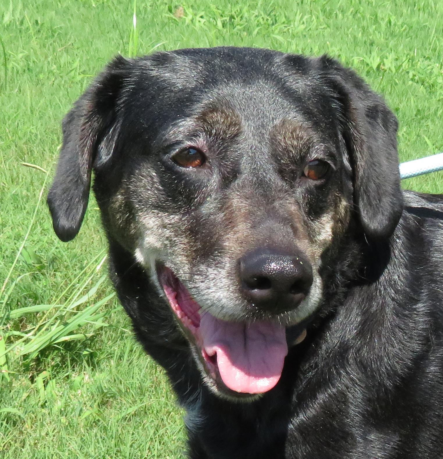 Honey Dew, Senior Female unknown