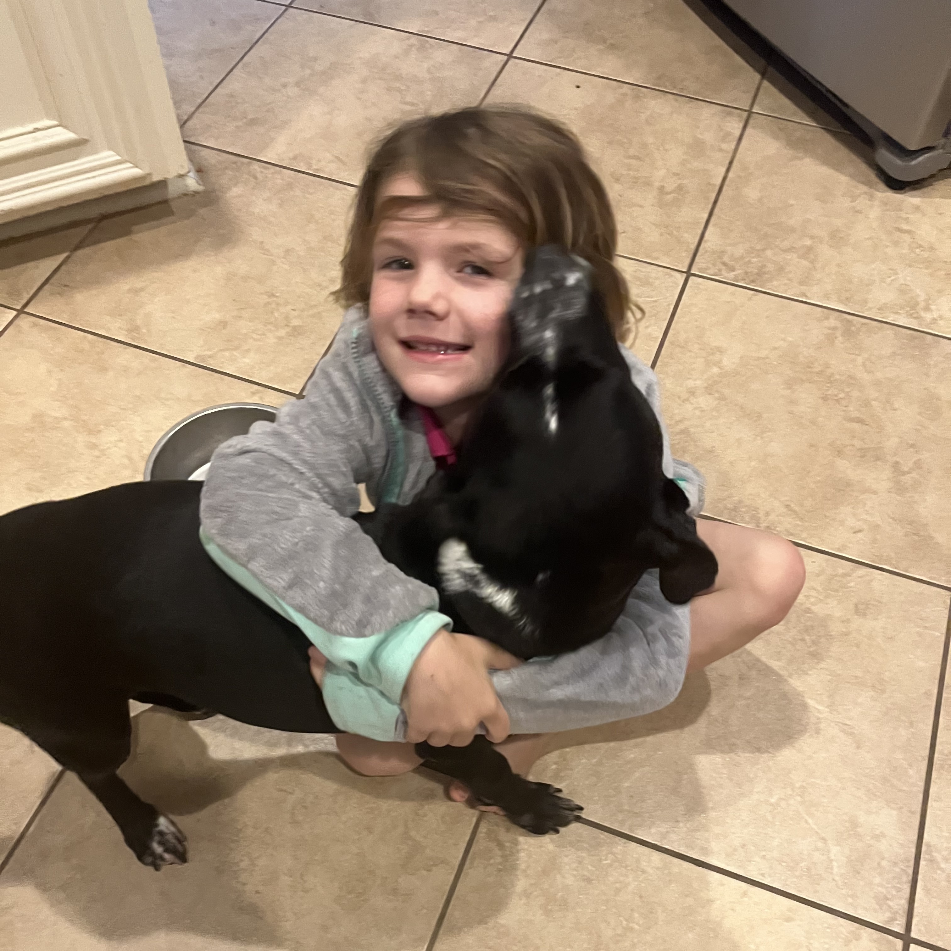 Enlarge Frankie, a Adopted mixed breed in Westminster, CO image 4/6