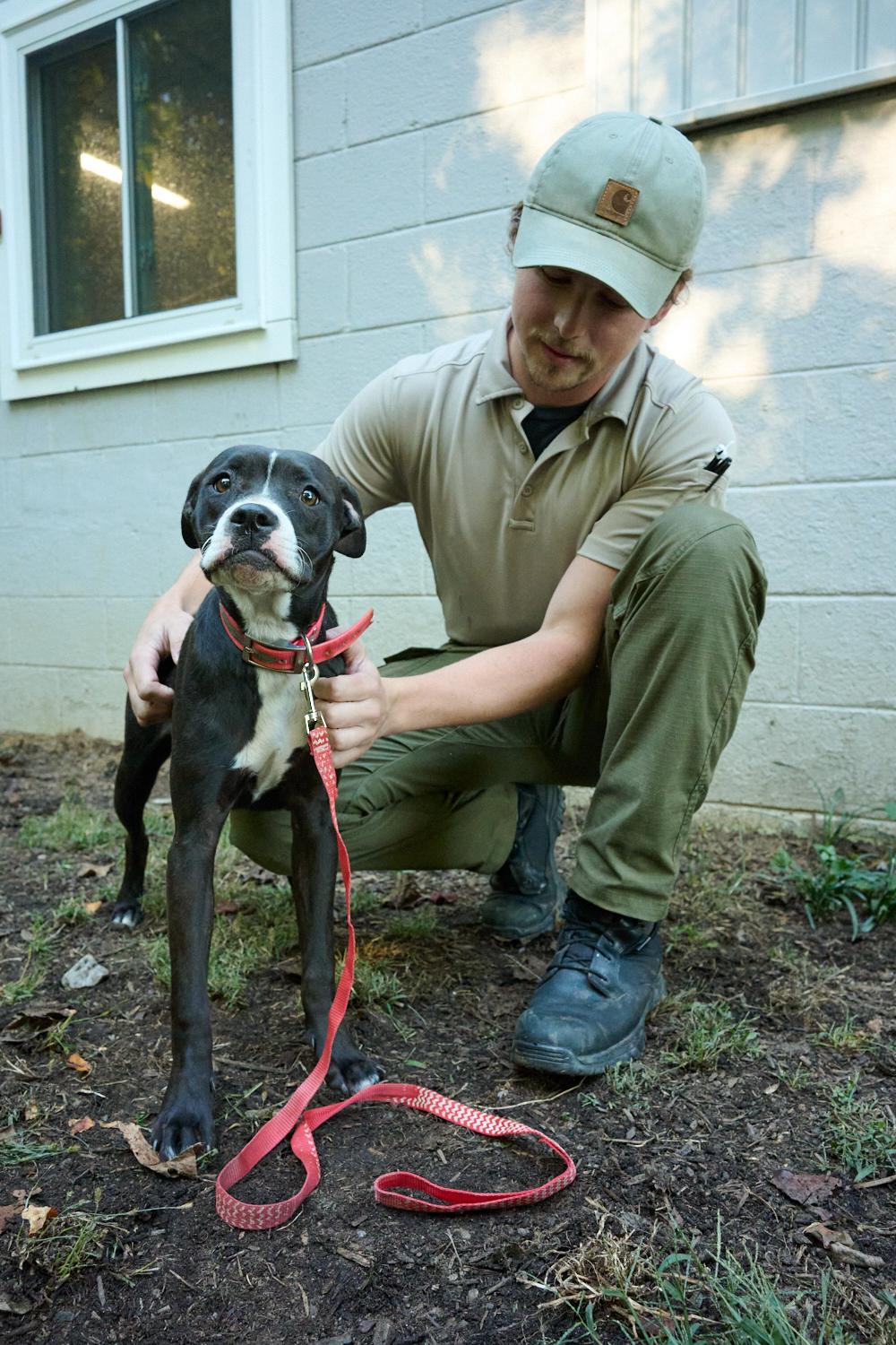 Enlarge Pepper, a Adoptable mixed breed in Floyd, VA image 5/5