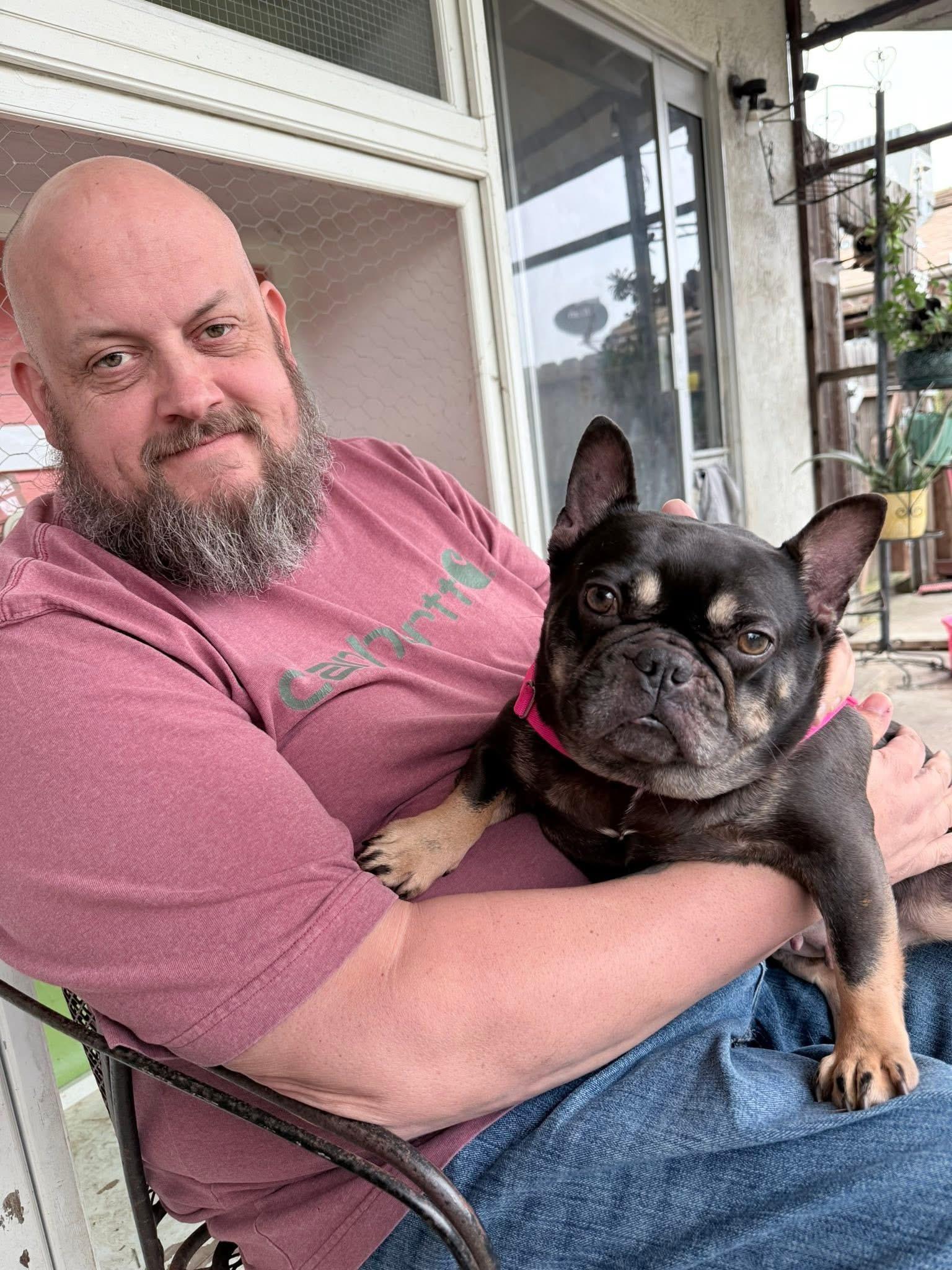 Lovey, an adopted French Bulldog in rio vista, CA image 4/5