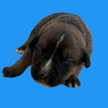 Bianca — thumbnail 2