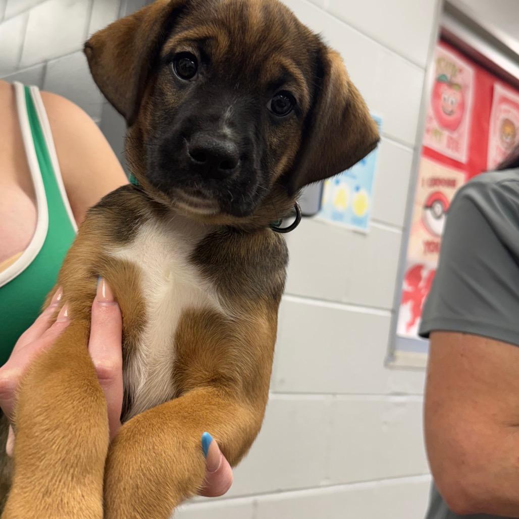 Bianca — thumbnail 3