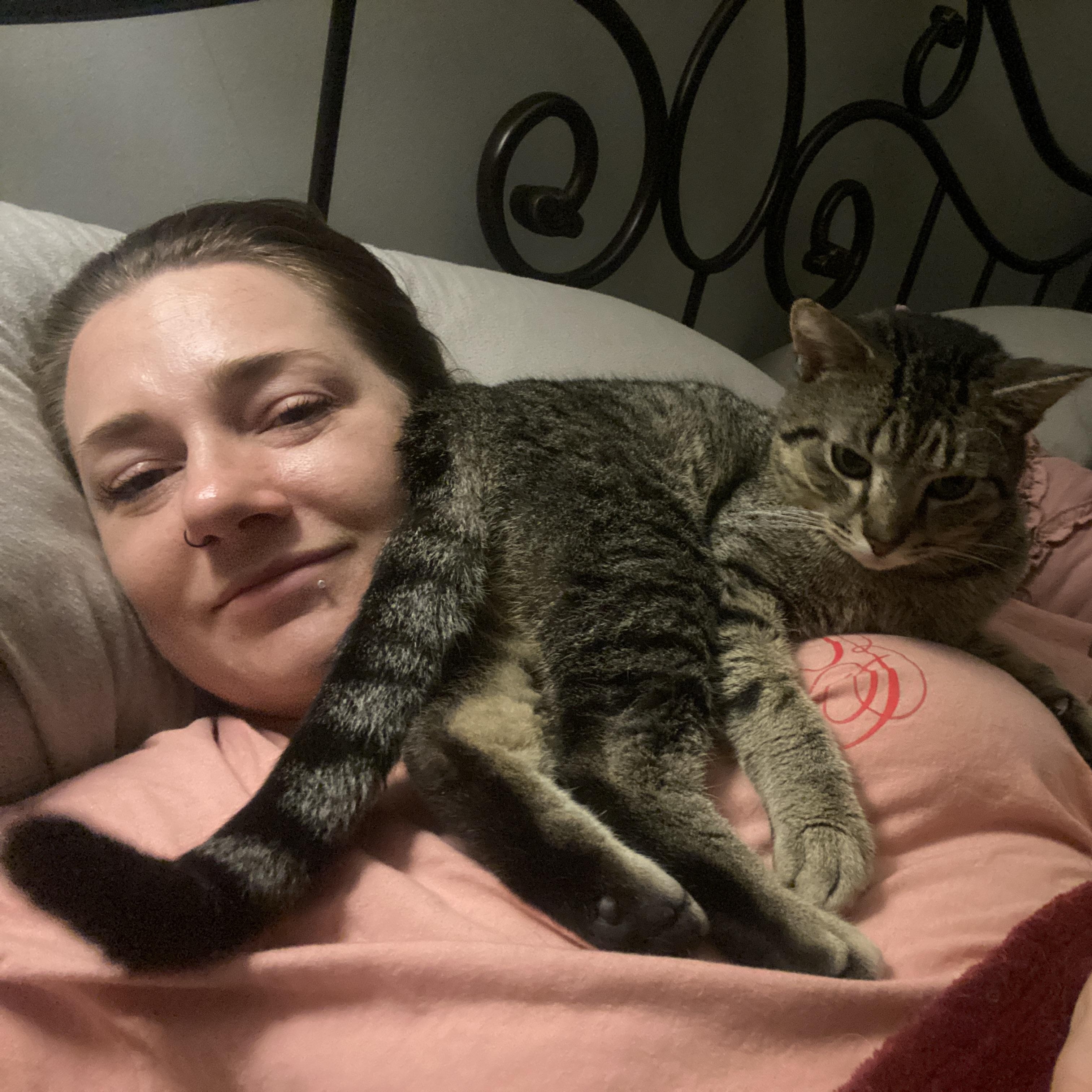 Cooper, a Adoptable Domestic Short Hair in Westville, NJ image 6/6