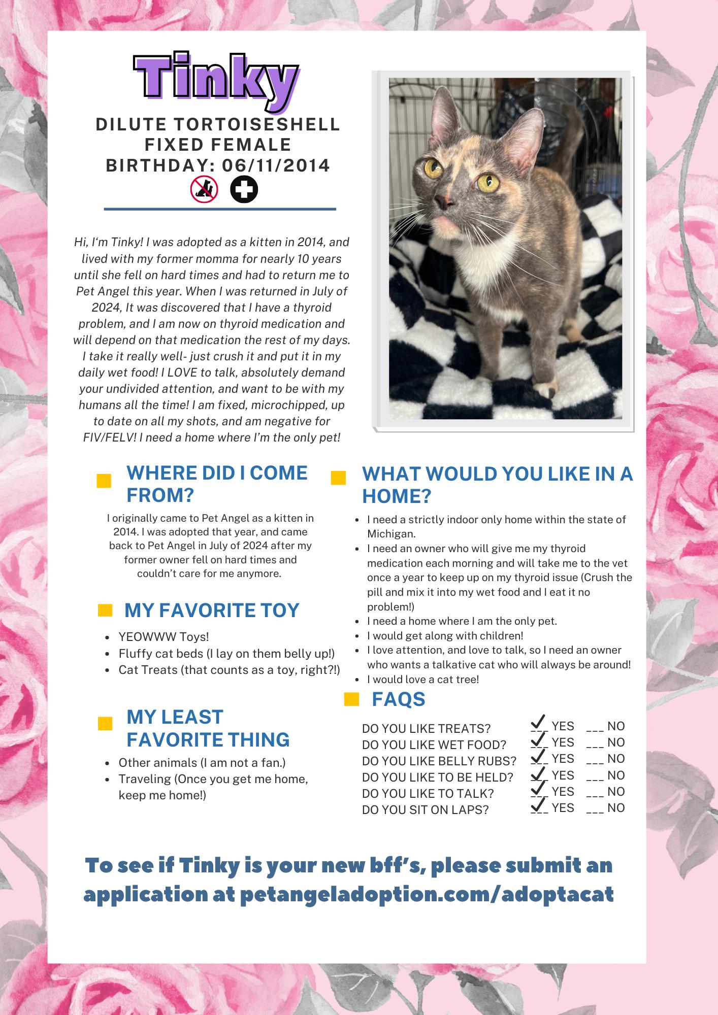 Enlarge Tinky, a Adoptable mixed breed in Frankenmuth, MI image 4/5