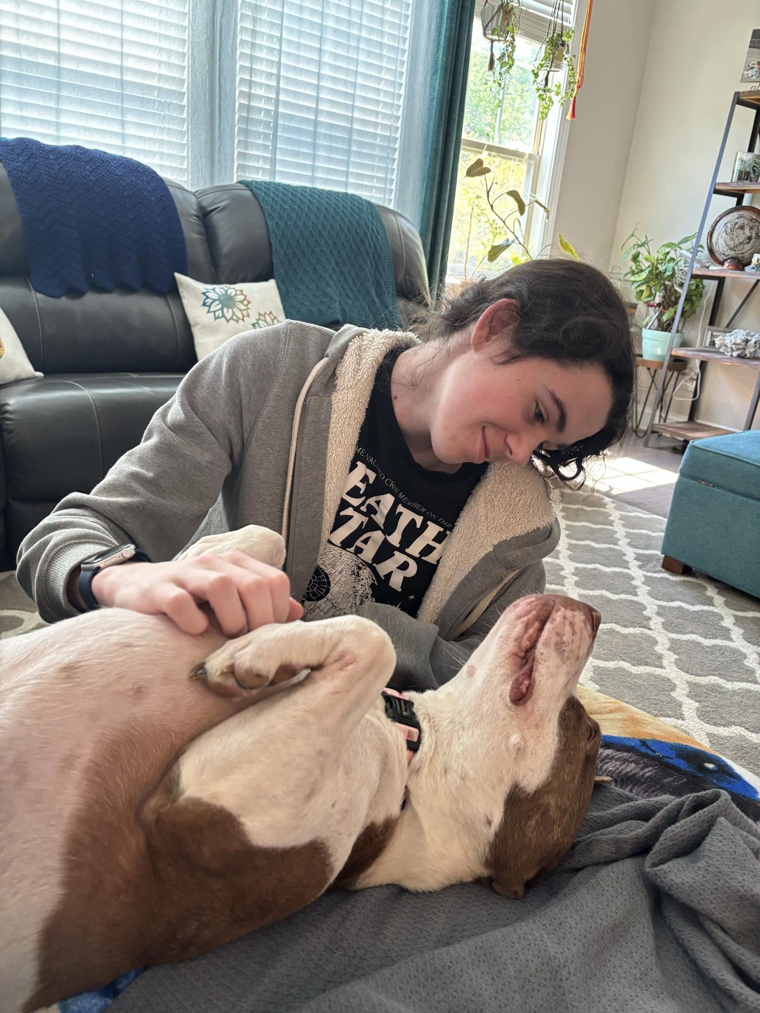 Flo, a Adopted American Staffordshire Terrier in Holly Springs, NC image 2/3