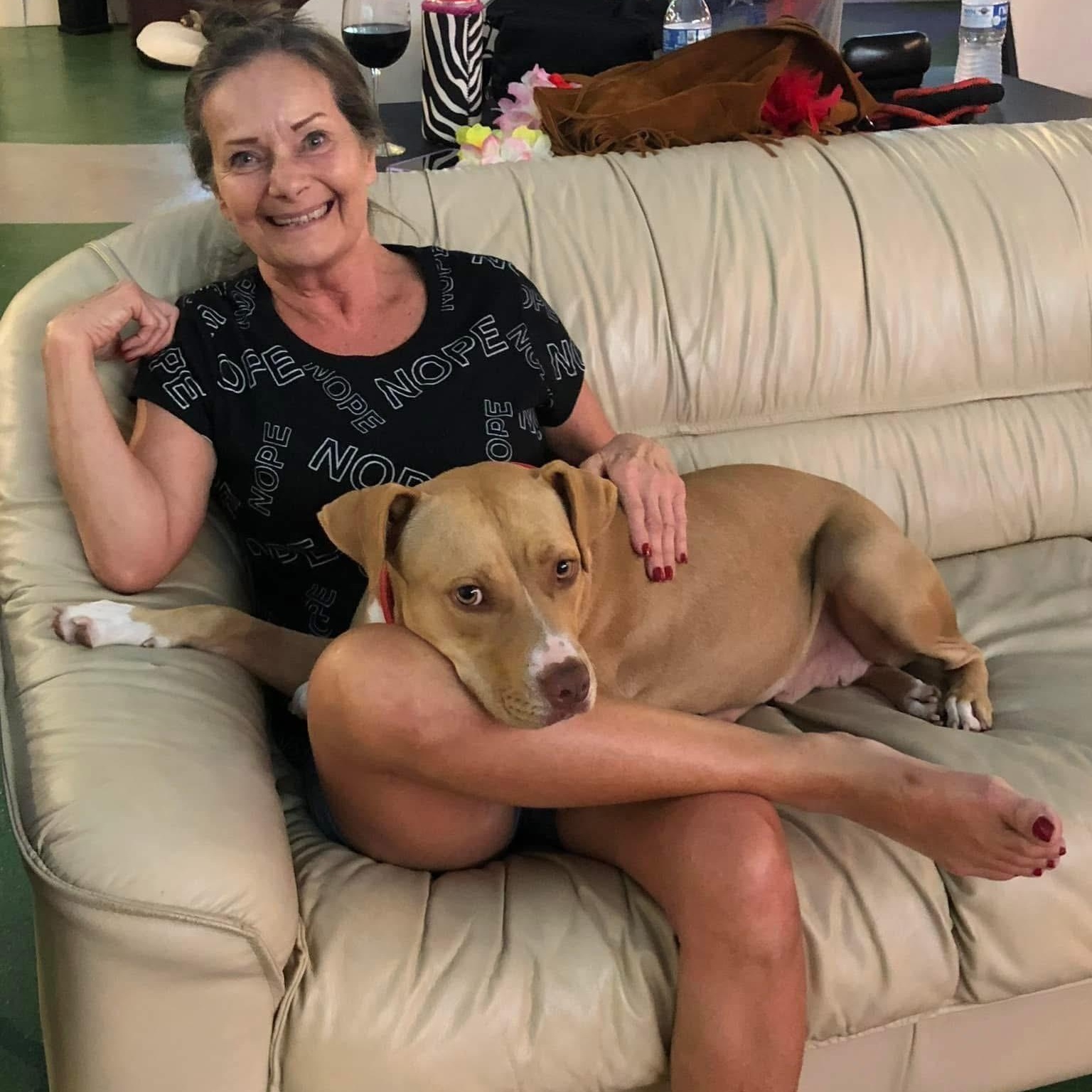 Bella, an adopted mixed breed in Indianapolis, IN image 3/6