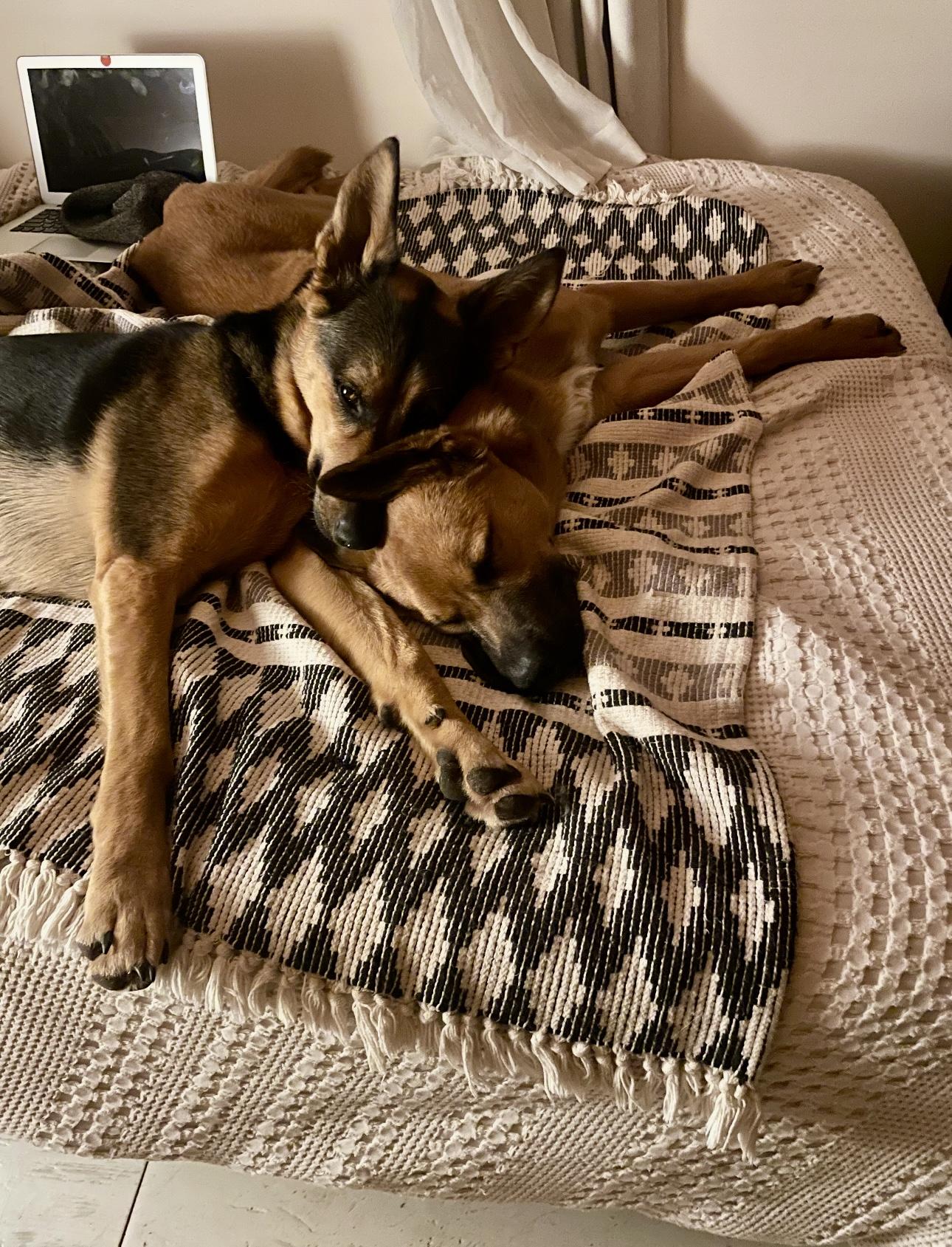 BOWIE