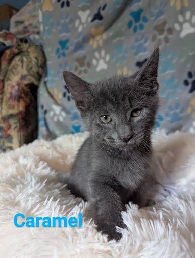 Caramel photo 2