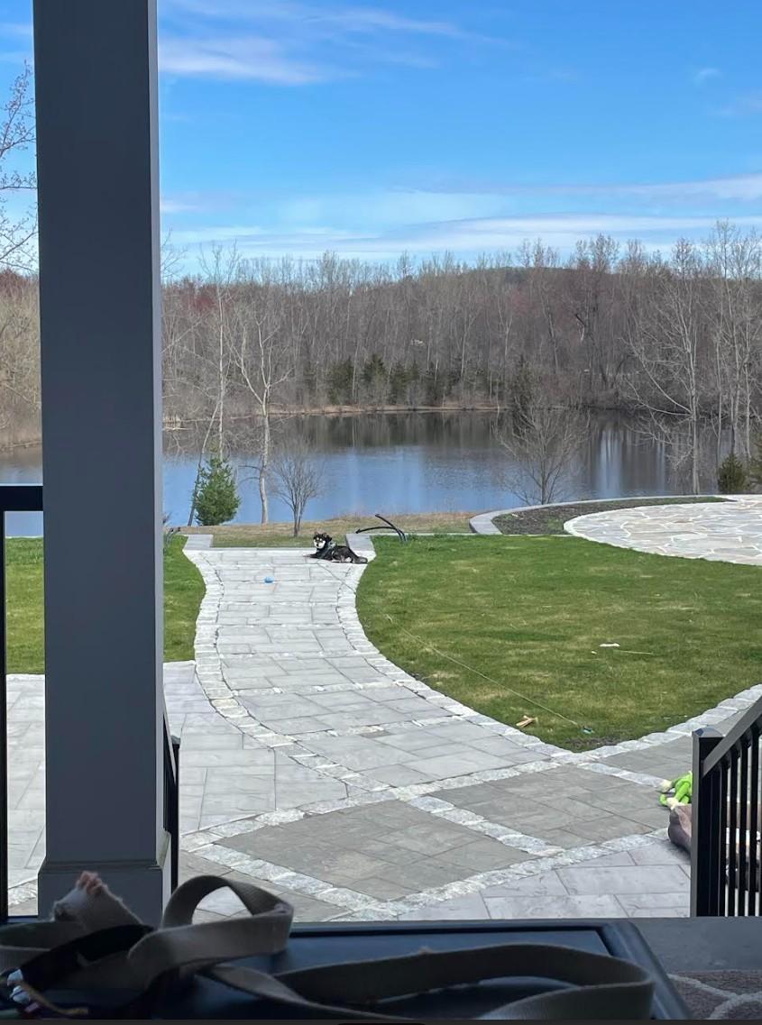 Enlarge Jackson, a ADOPTABLE Shiba Inu in Toms River, NJ image 3/4