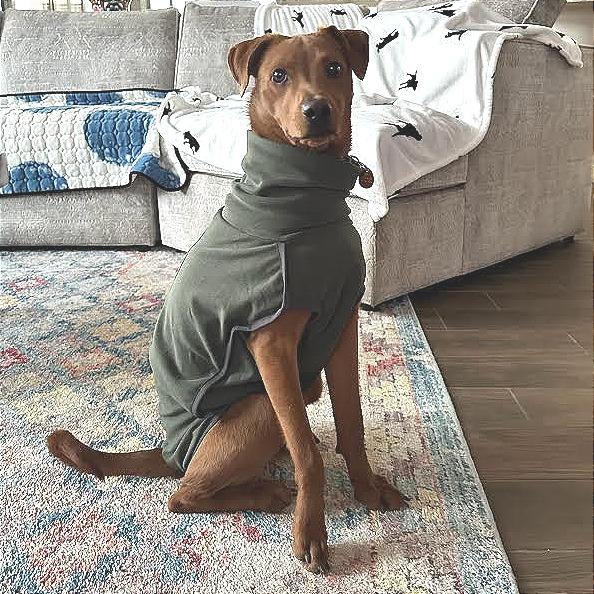 Enlarge Michi, a Adoptable Mixed Breed in Prescott, AZ image 3/6