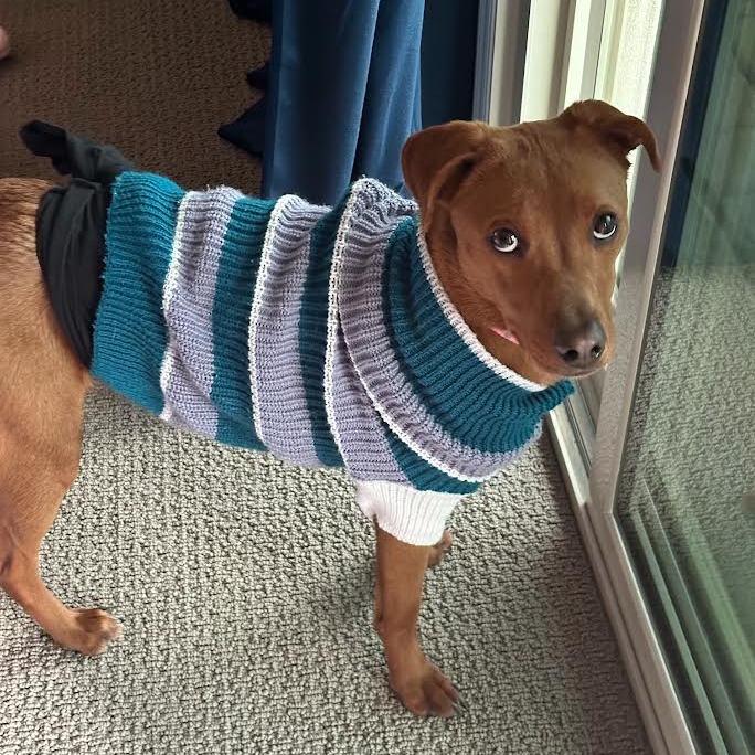 Michi — thumbnail 4