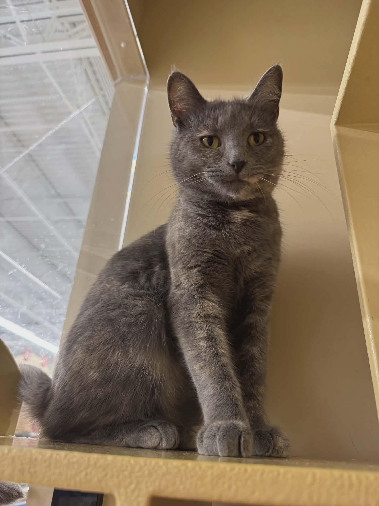 Rainbow & Raindrop % thumbnail 3