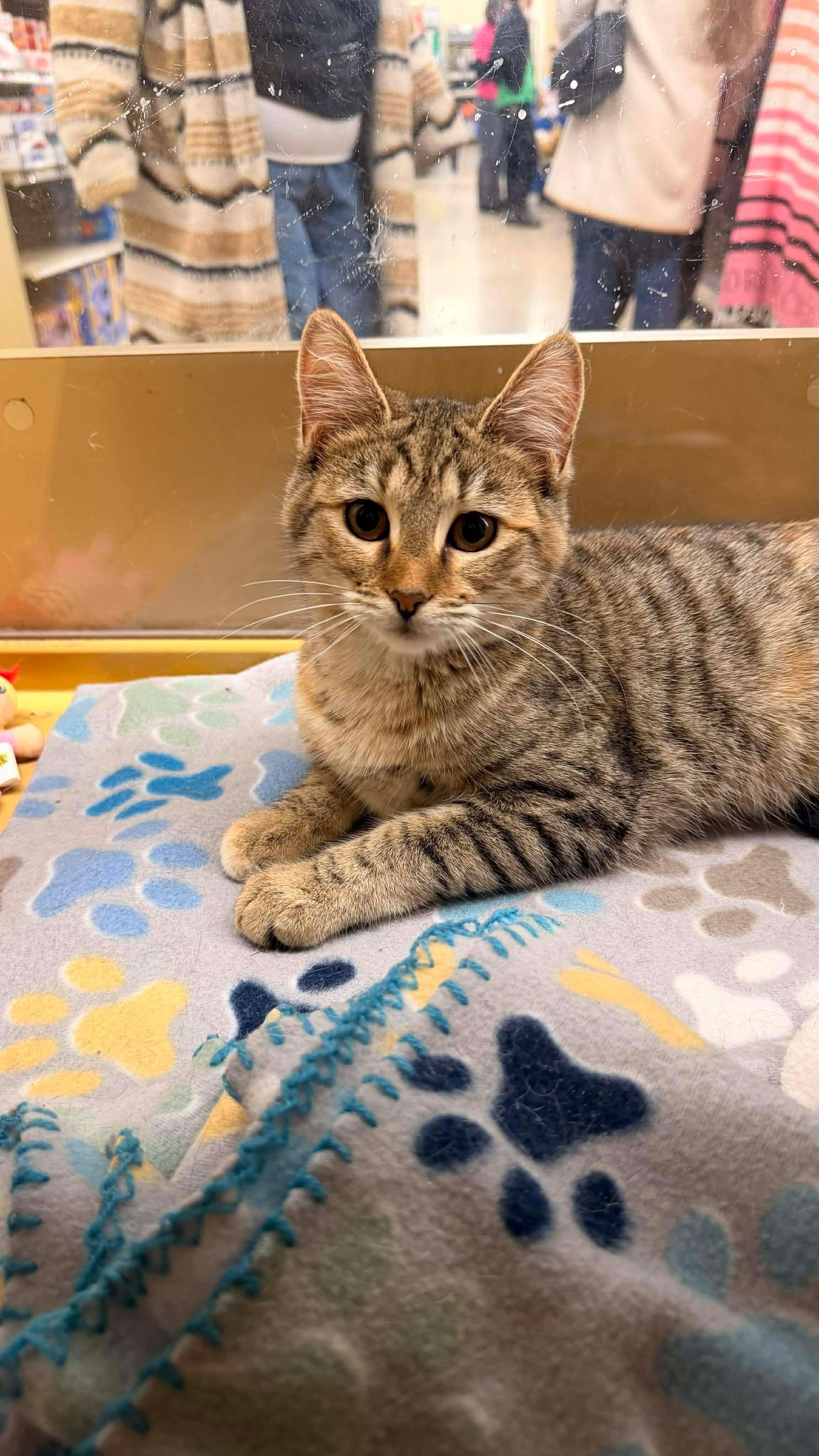 Rainbow & Raindrop % thumbnail 4