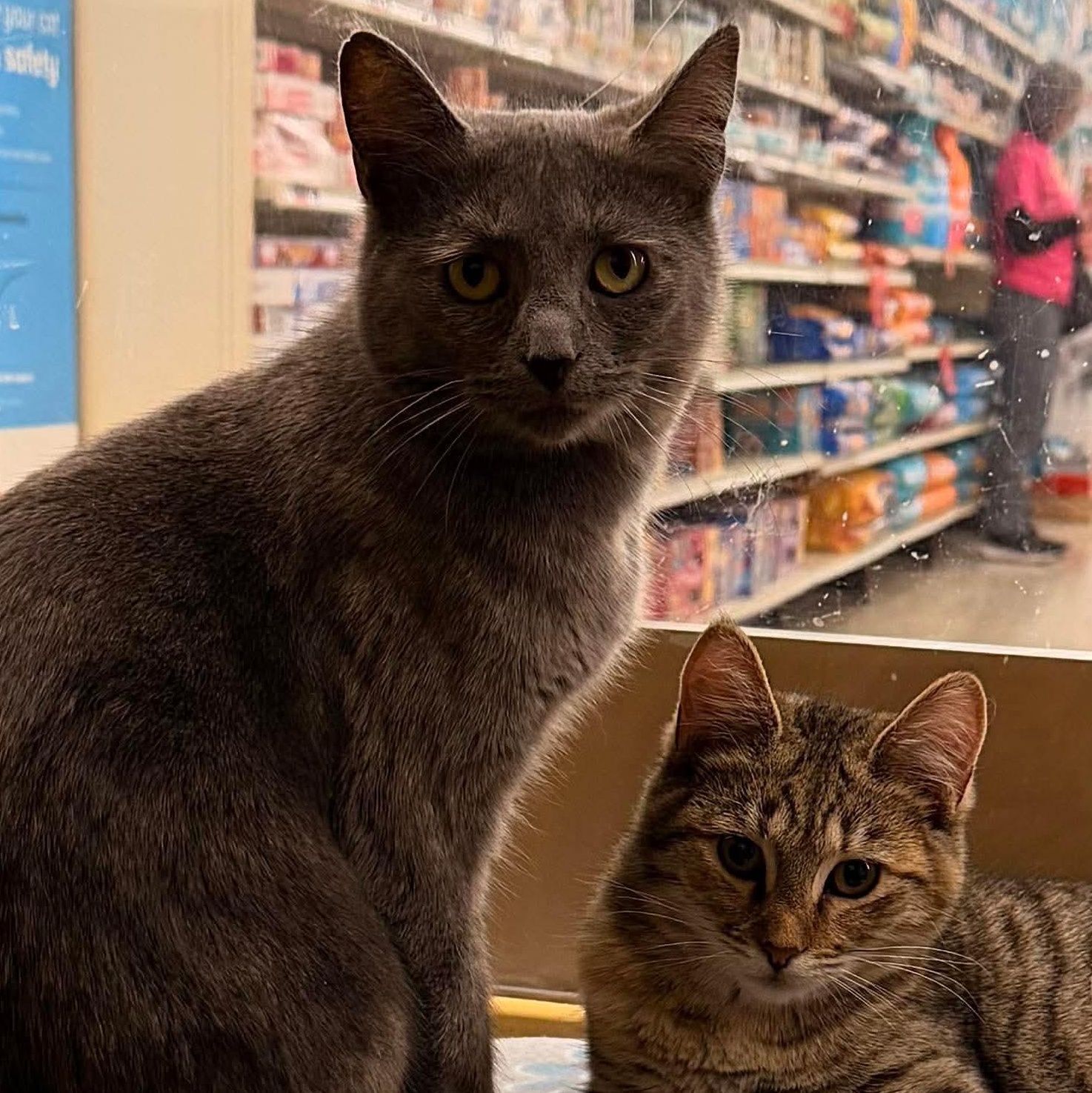 Rainbow & Raindrop % thumbnail 5