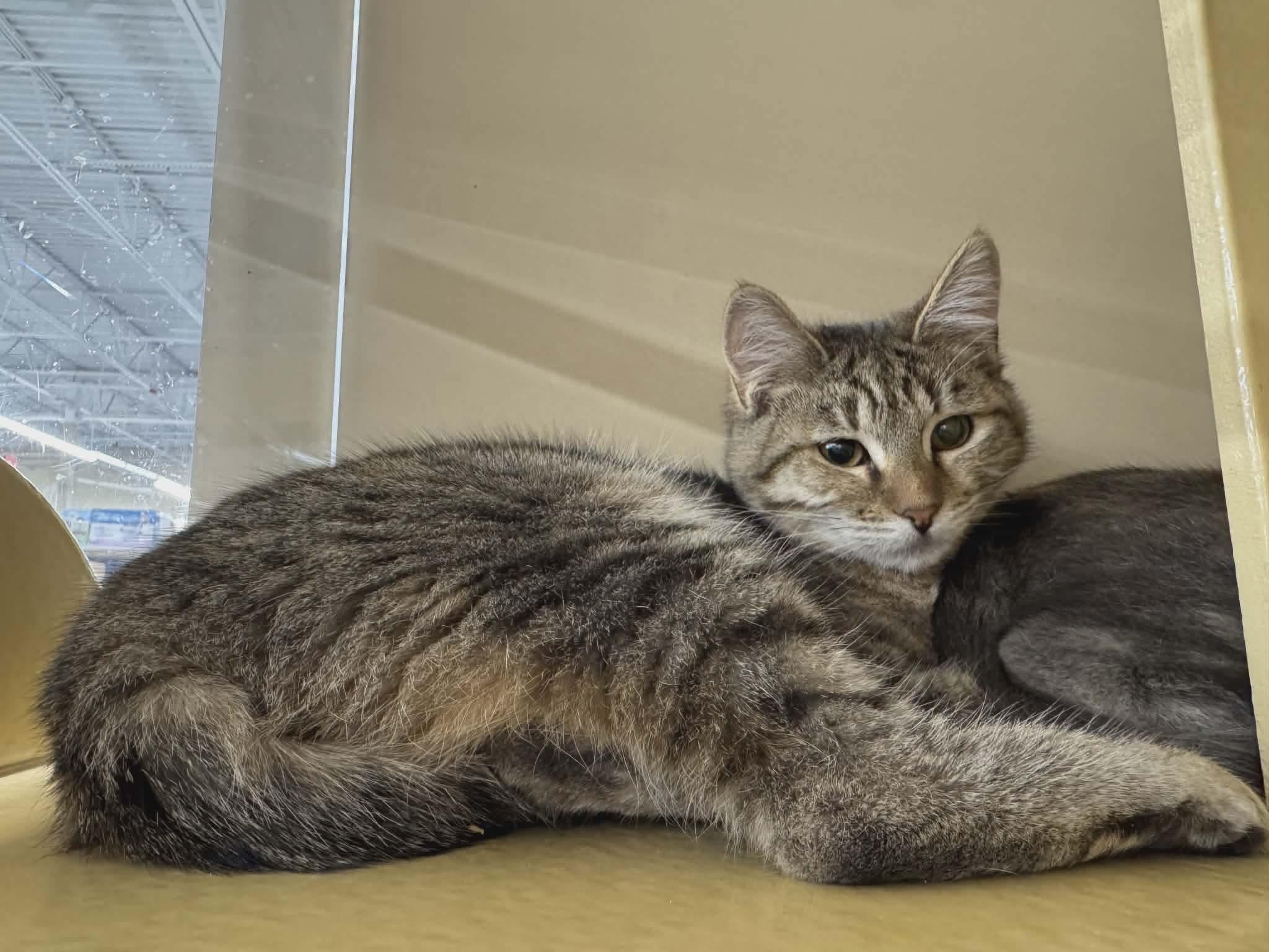 Rainbow & Raindrop % thumbnail 6