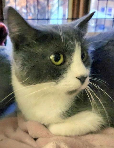 Savanah — thumbnail 3