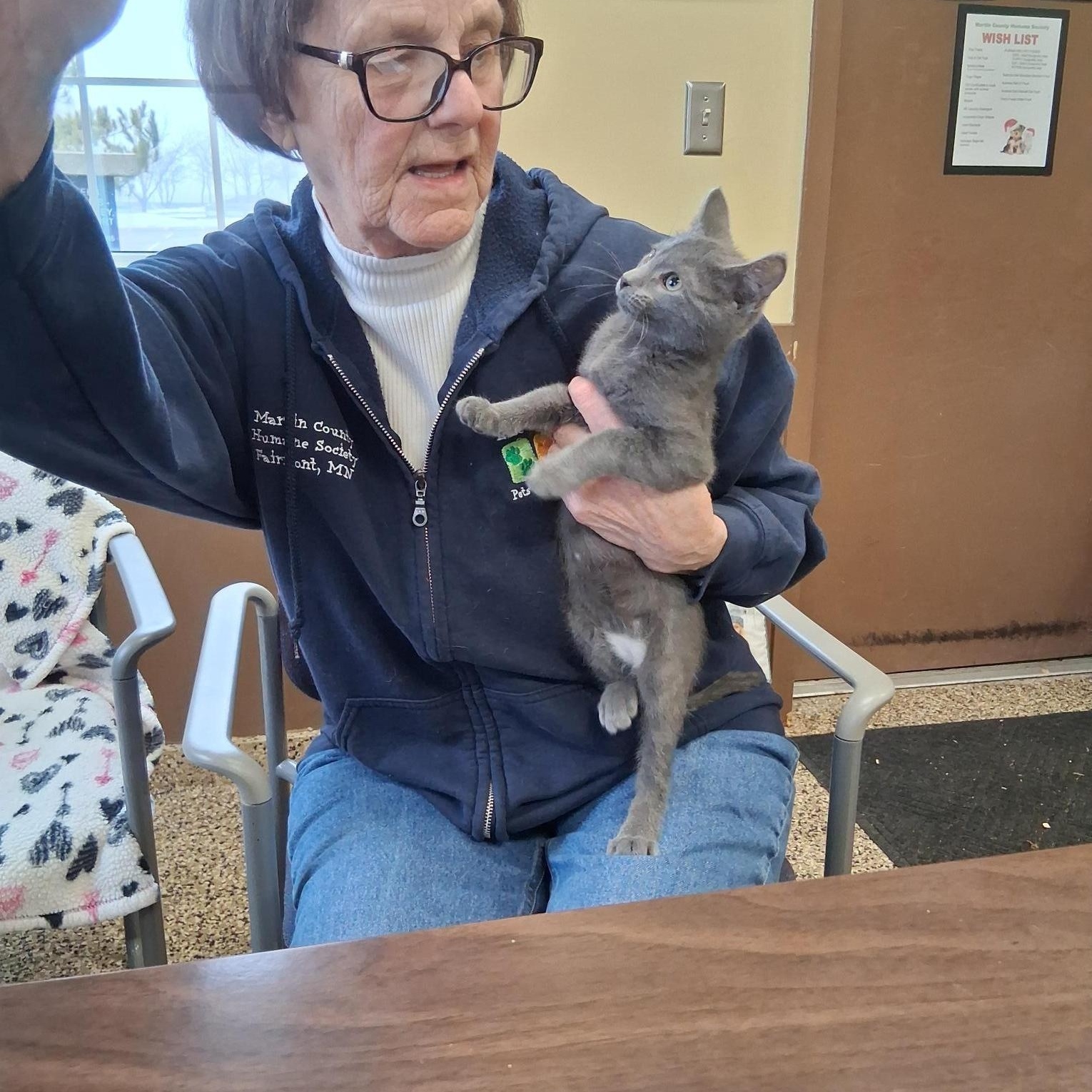 Hank-bonded with Lady Bug, an adopted Domestic Short Hair in Fairmont, MN image 3/4
