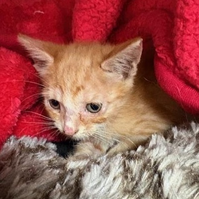 Sam