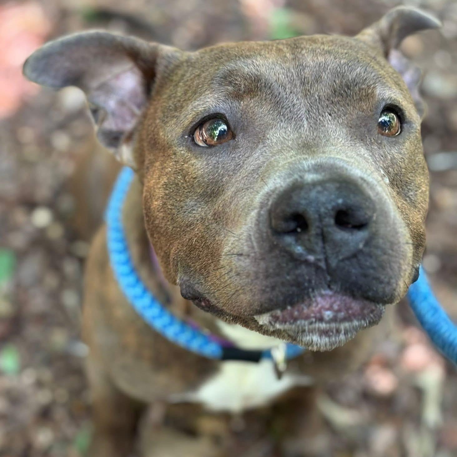 Princess (id /) thumbnail 2