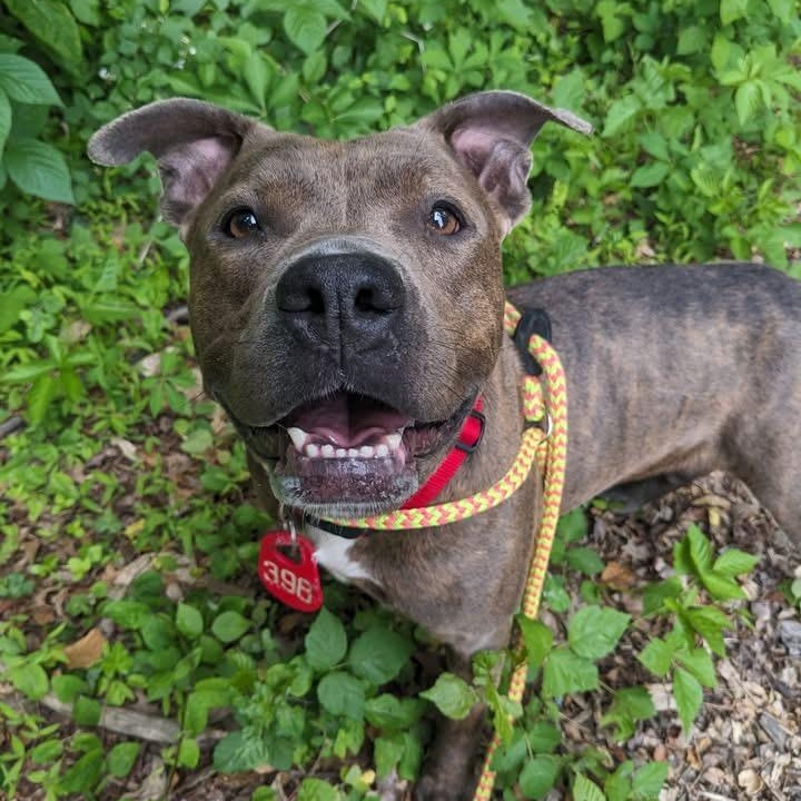 Princess (id /) thumbnail 5