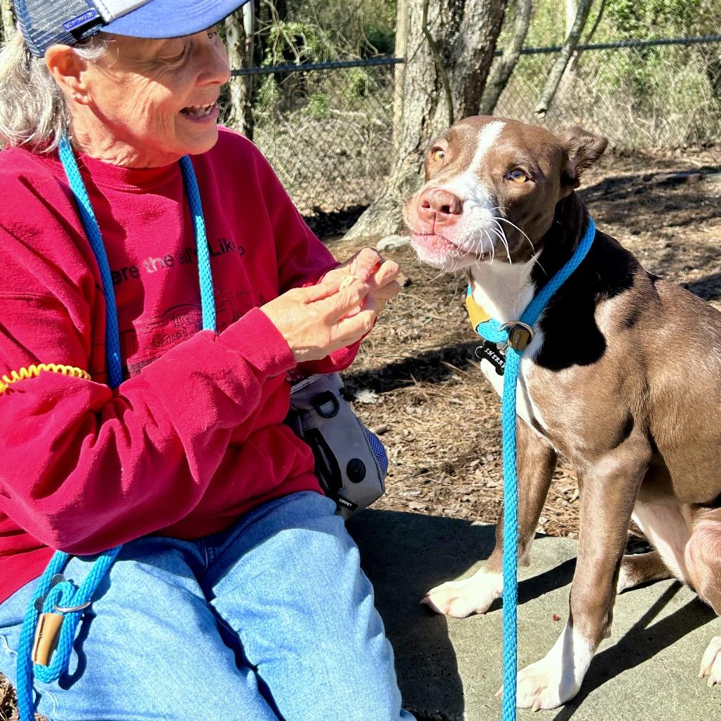 Junie B Jones 8387 — thumbnail 3