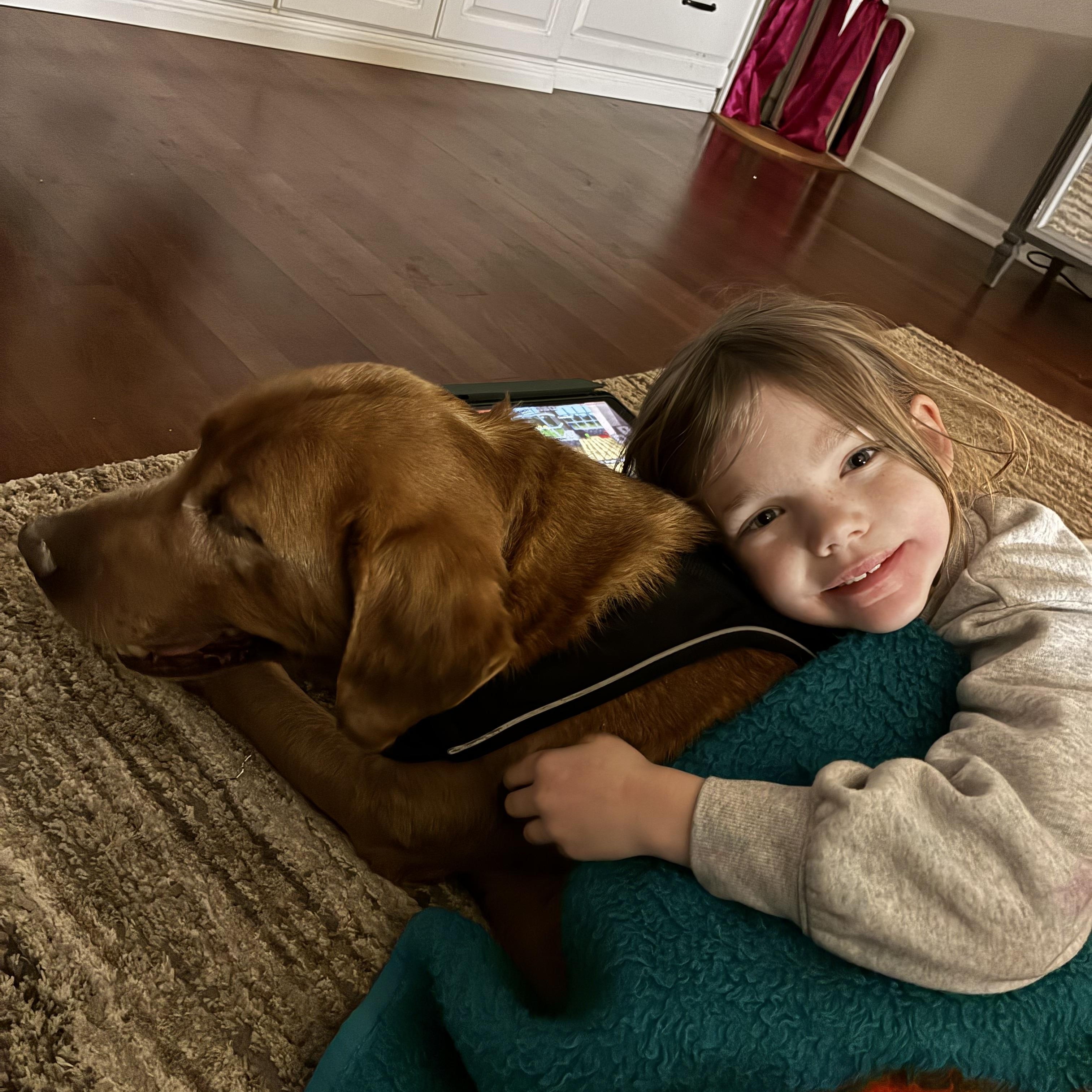 Enlarge Rusty, a Adoptable Labrador Retriever in Indianapolis, IN image 3/6