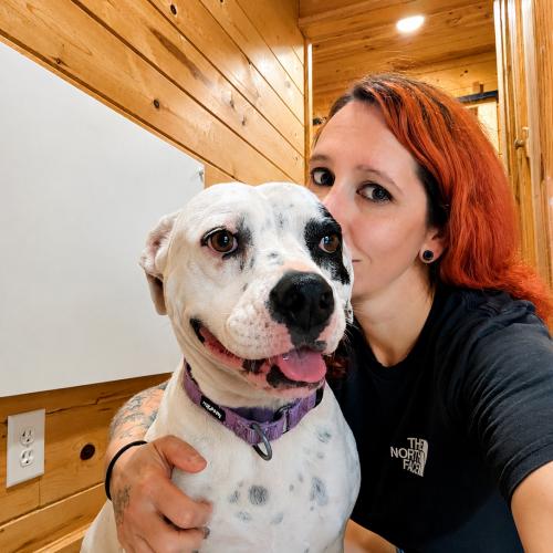 Enlarge Willie, a Adoptable mixed breed in Leesburg, AL image 2/6
